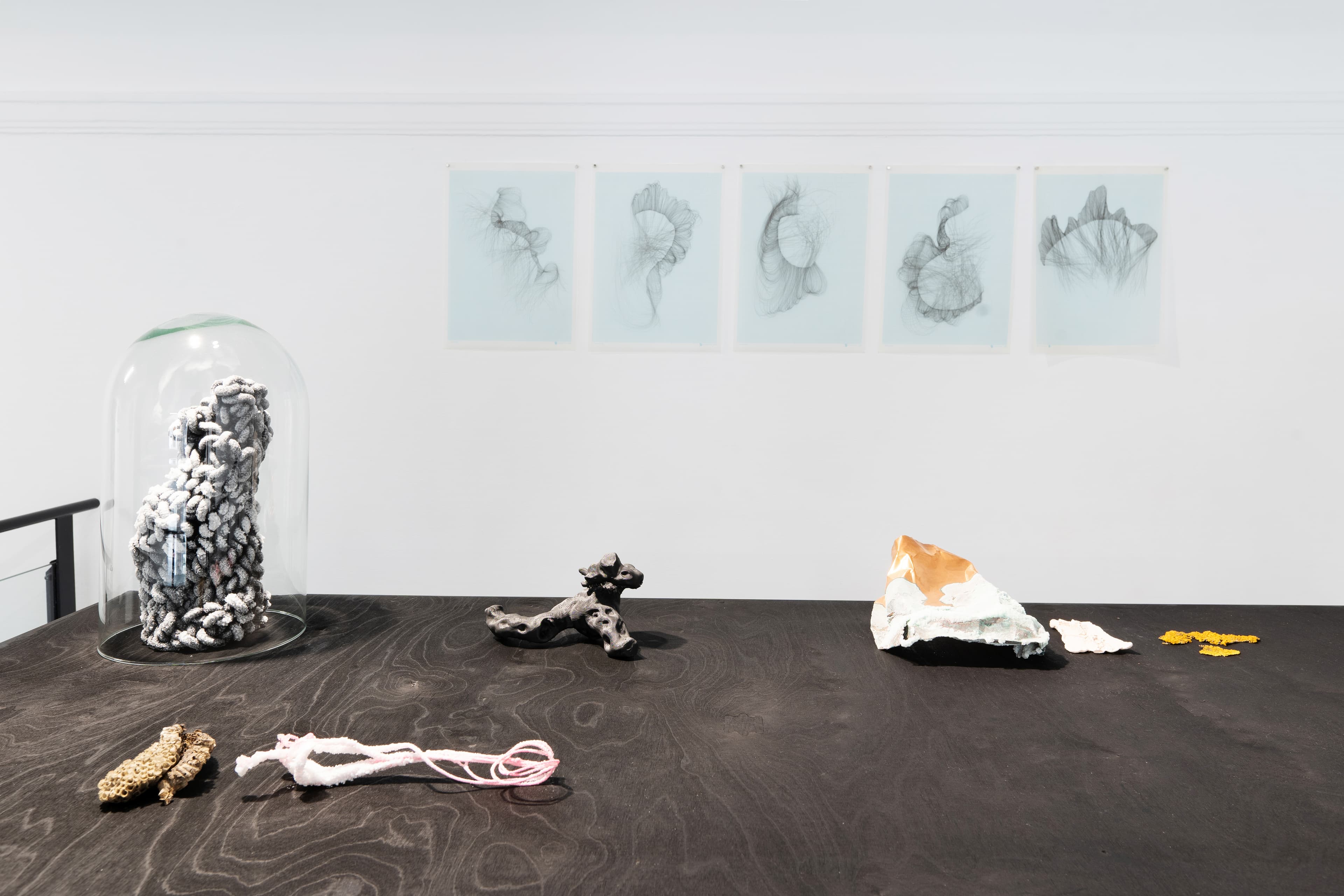 Installation View 12