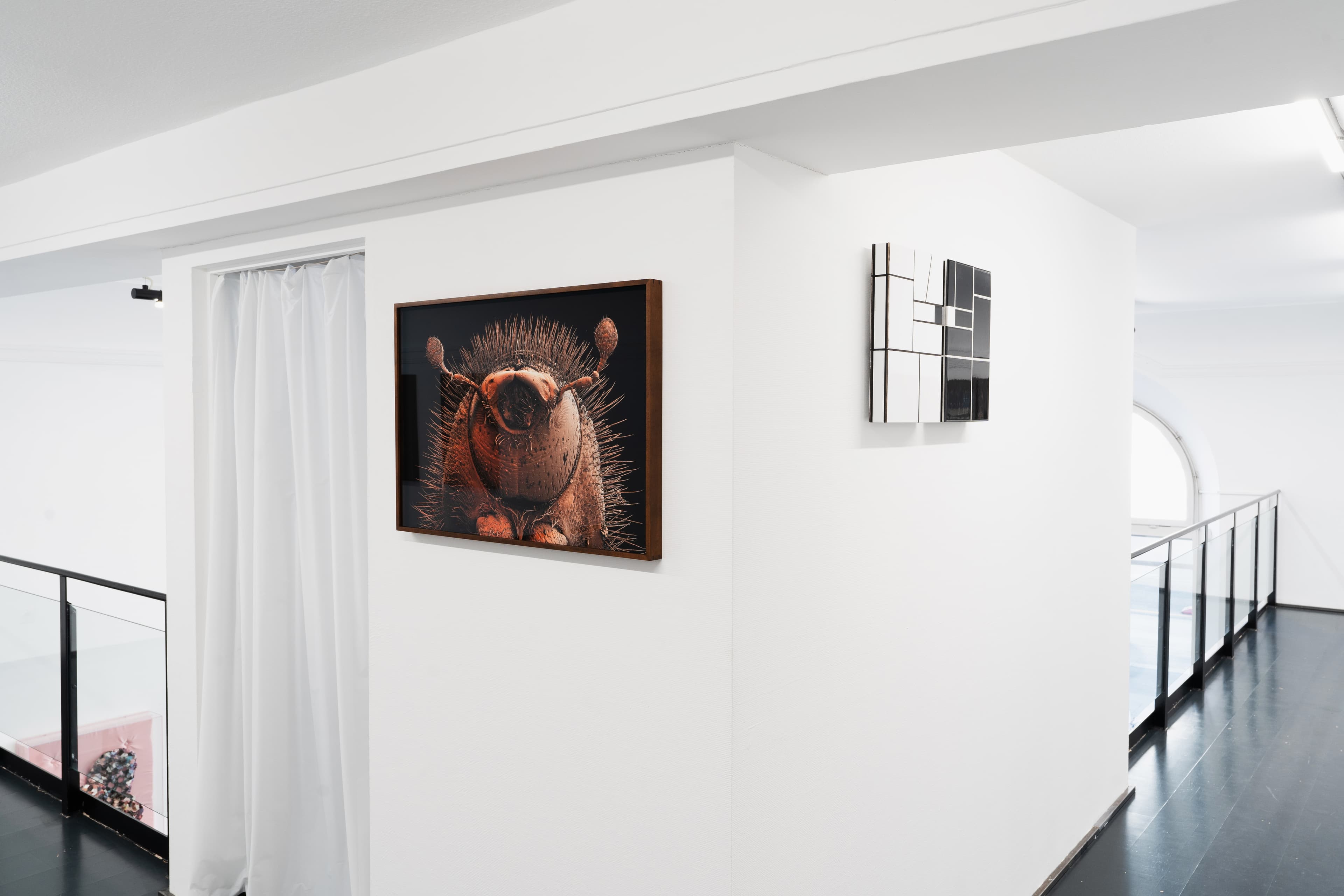 Installation View 14