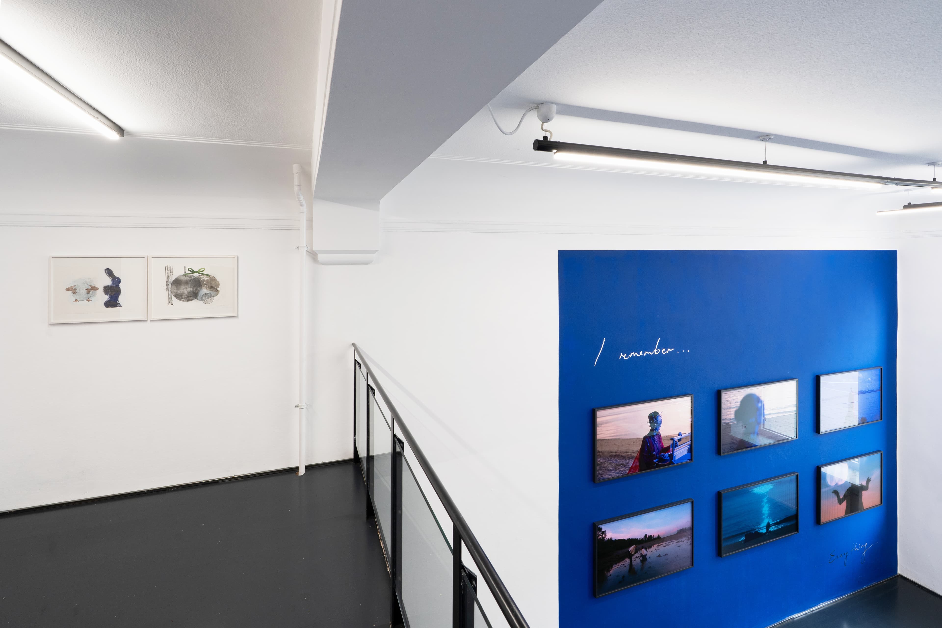 Installation View 13